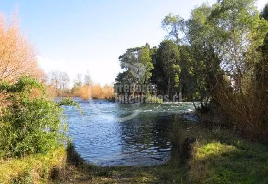 Sitio en venta en Futrono