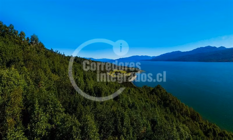 Sitio en venta en Cisnes, Provincia de Aysen - Imagen 3