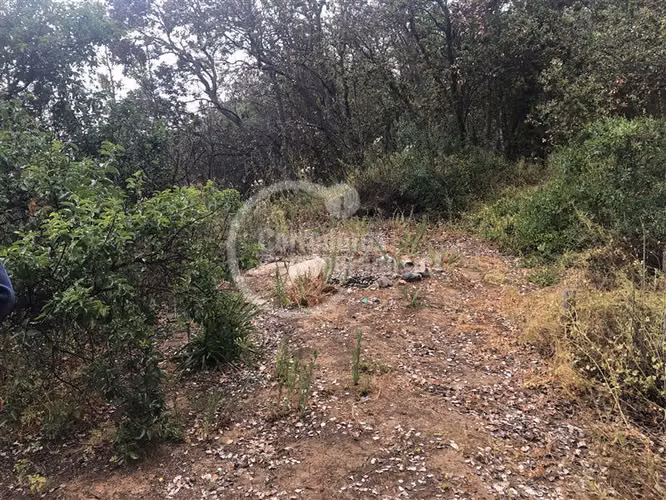 Sitio en venta en Curacaví