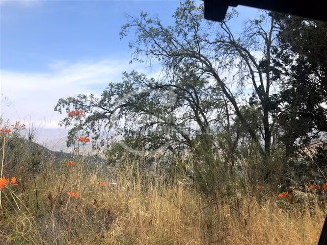Sitio en venta en Curacaví