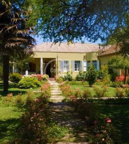 Local Comercial en venta en Chépica