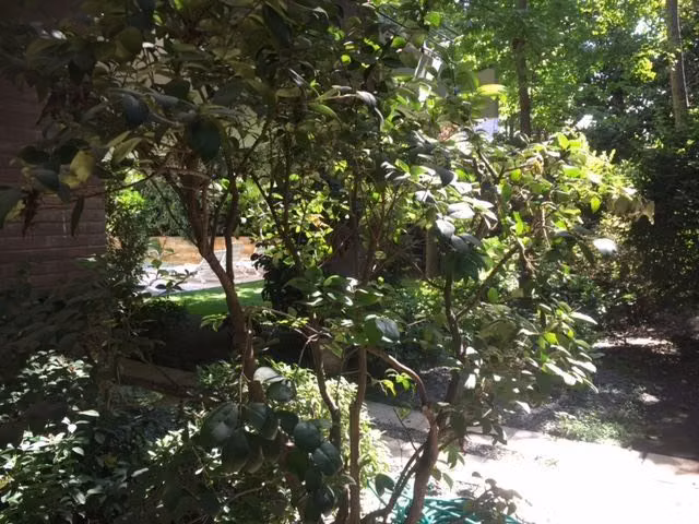 Departamento en venta en Vitacura