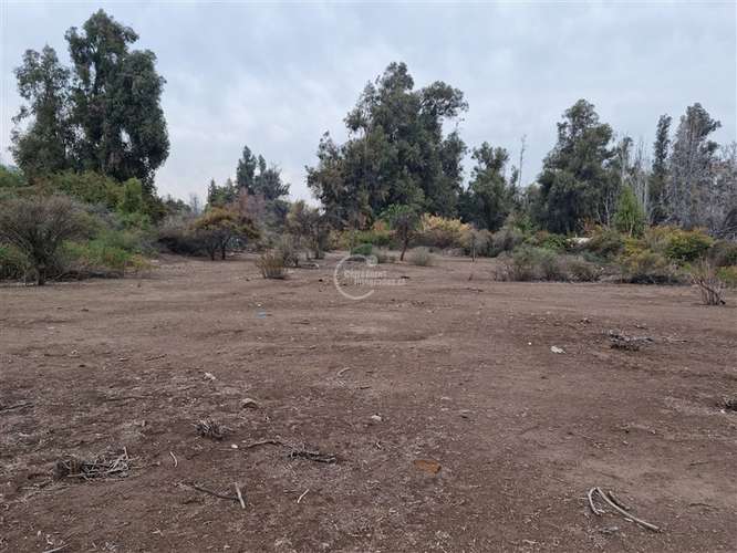¡Gran oportunidad de inversión! Parcela de 5000m2 La Florida