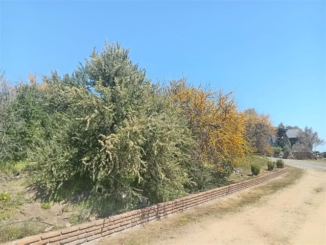 Casa en venta en Pencahue