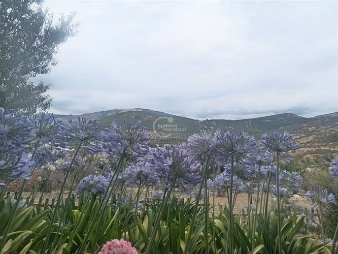 Casa en venta en Pencahue