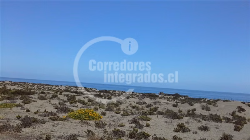 Sitio en venta en Canela