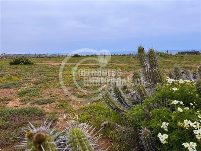 Sitio en venta en Canela