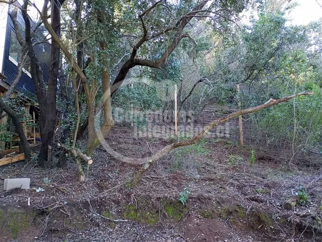 Parcela en venta en Curacaví