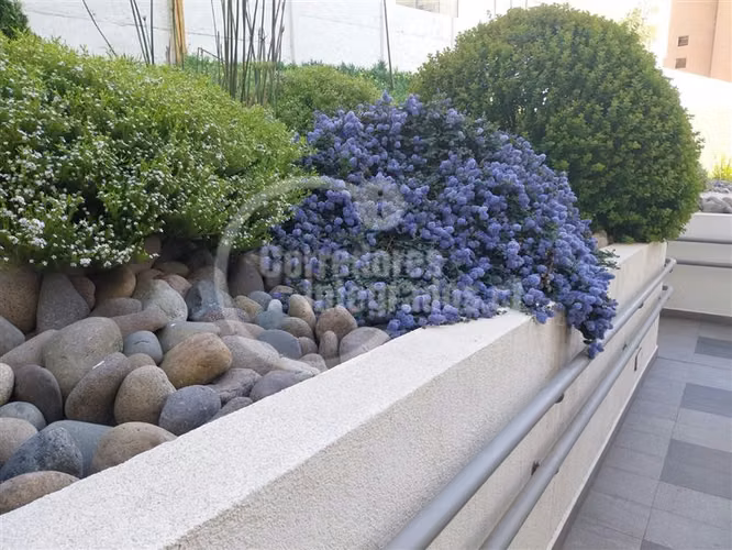Venta departamento Reñaca, buena orientación 3D, 2B, estac.