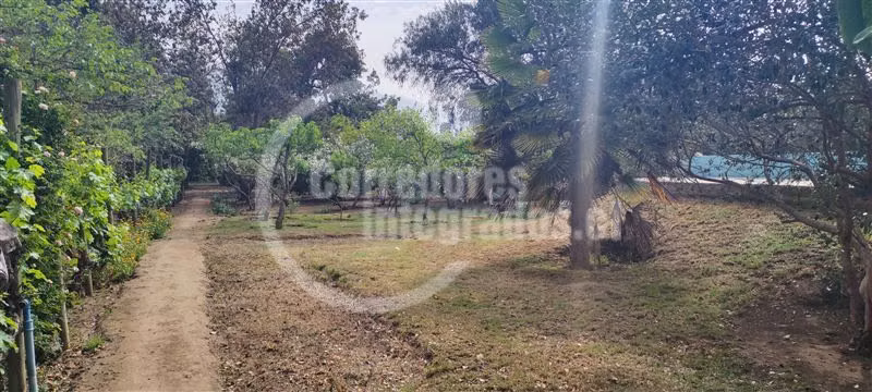 Venta propiedad en Limache para desarrollos inmobiliarios