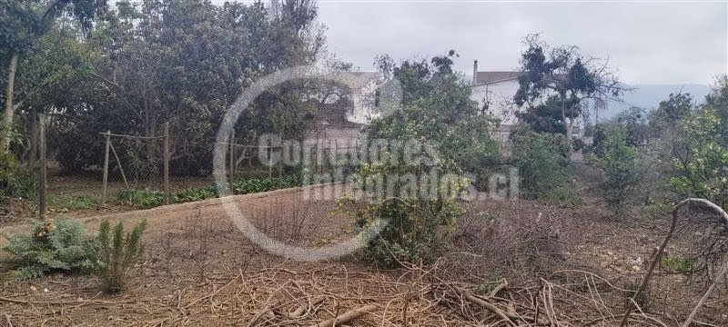 Venta propiedad en Limache para desarrollos inmobiliarios