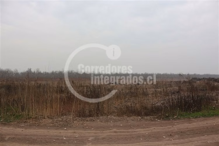 Parcela en venta en Paine