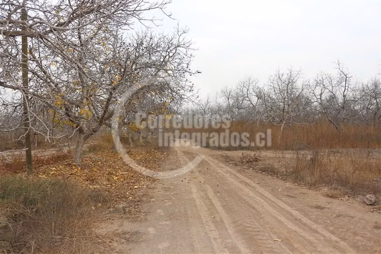 Parcela en venta en Paine