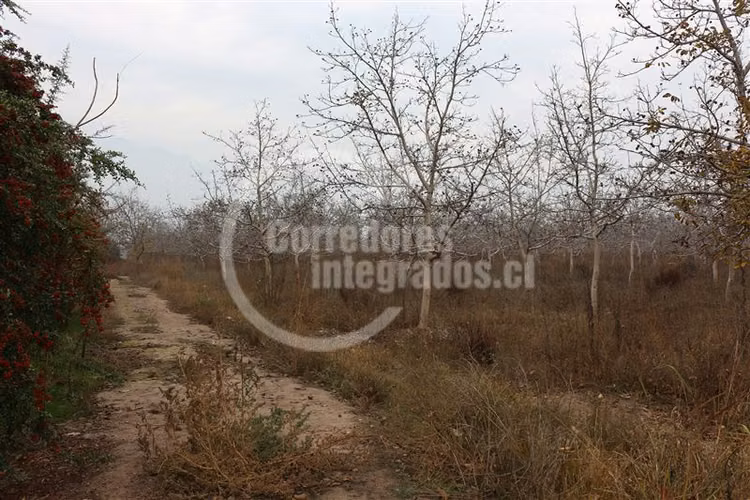 Parcela en venta en Paine