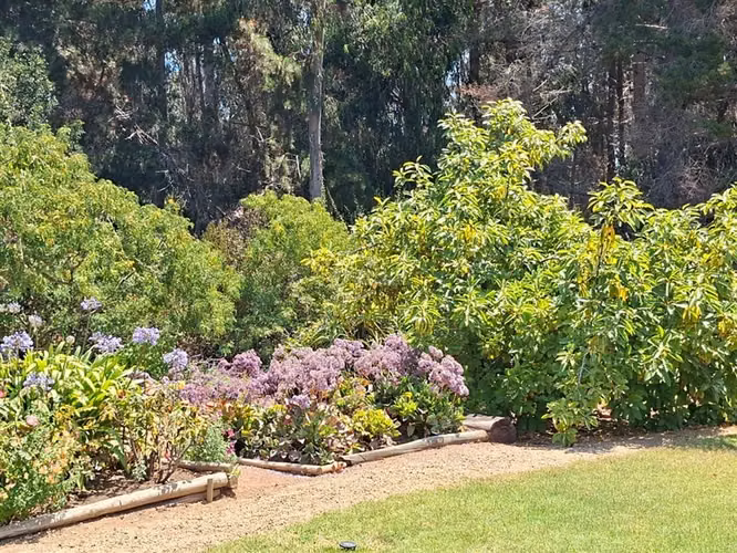 Casa en venta en Algarrobo