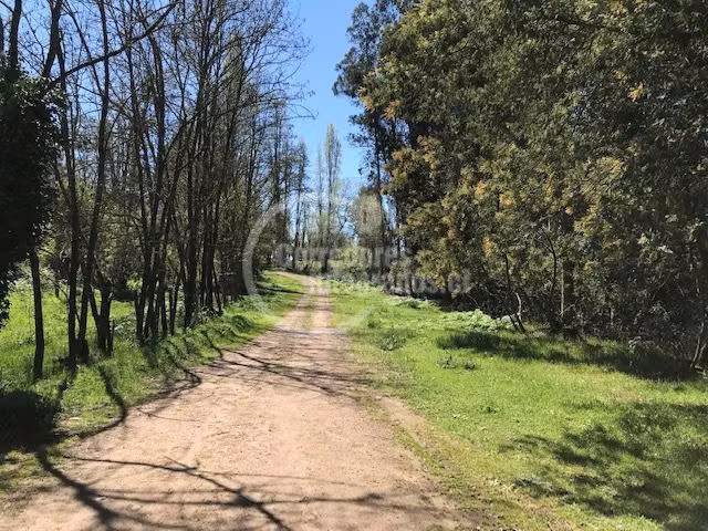 Agrícola en venta en Río Claro