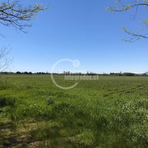 Agrícola en venta en Río Claro