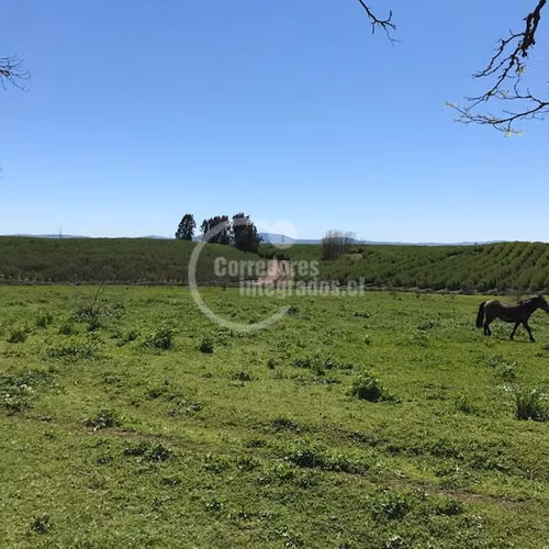Agrícola en venta en Río Claro