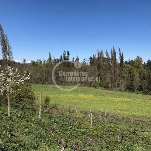 Agrícola en venta en Río Claro