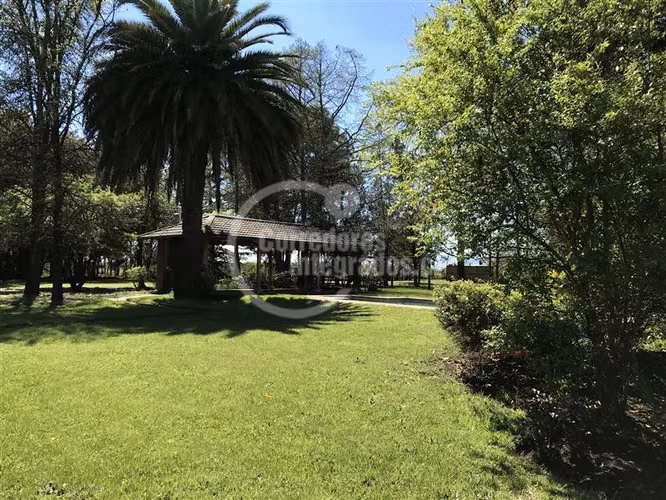 Agrícola en venta en Río Claro