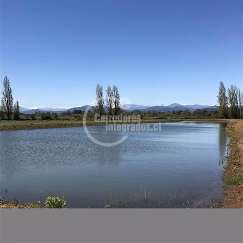 Agrícola en venta en Río Claro