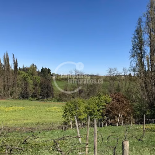 Agrícola en venta en Río Claro