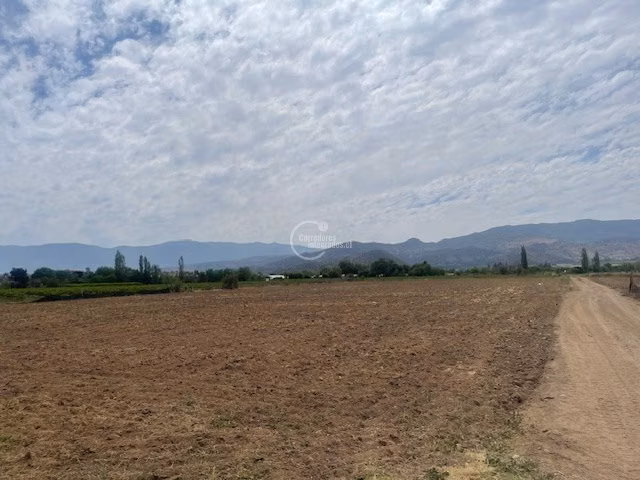 Parcela Agricola, 14 Hás. planos, Santa María, San Felipe