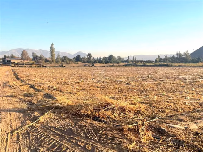 Parcela Agricola, 14 Hás. planos, Santa María, San Felipe