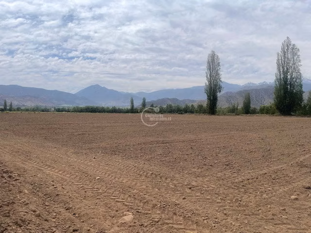 Parcela Agricola, 14 Hás. planos, Santa María, San Felipe