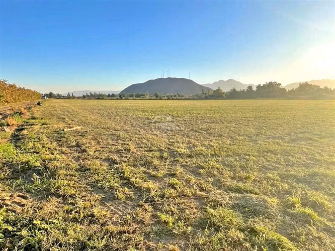 Parcela Agricola, 14 Hás. planos, Santa María, San Felipe