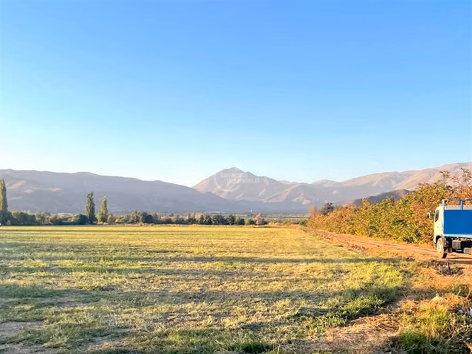 Parcela Agricola, 14 Hás. planos, Santa María, San Felipe