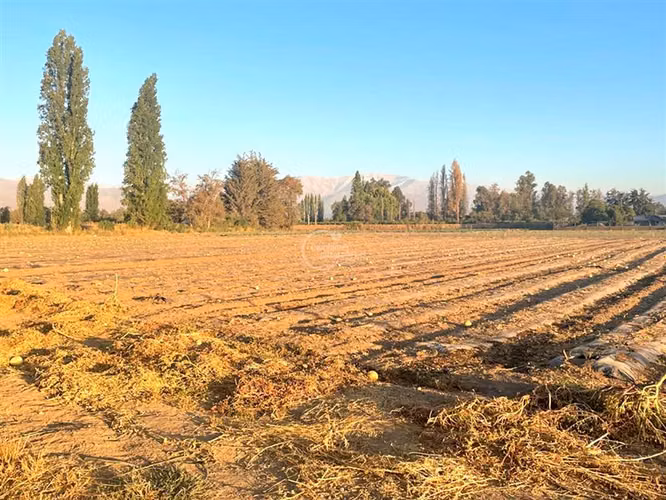 Parcela Agricola, 14 Hás. planos, Santa María, San Felipe