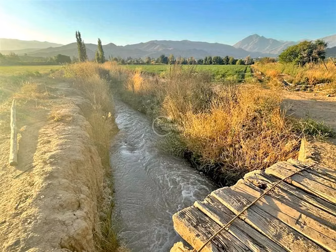 Parcela Agricola, 14 Hás. planos, Santa María, San Felipe