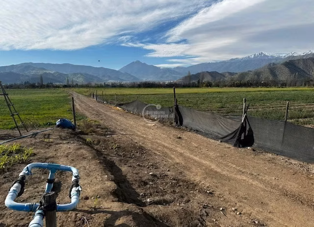 Parcela Agricola, 14 Hás. planos, Santa María, San Felipe