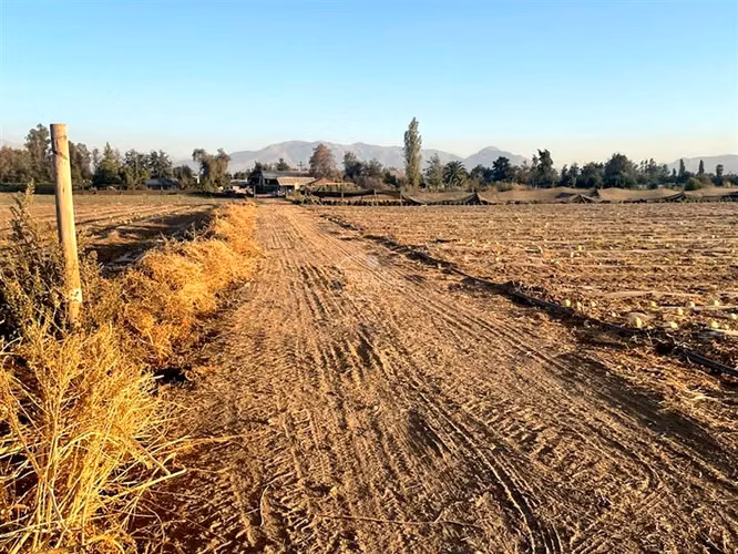Parcela Agricola, 14 Hás. planos, Santa María, San Felipe