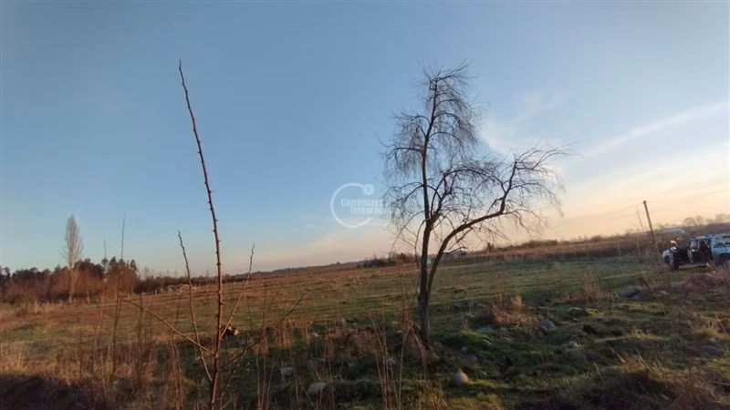 Parcela en venta en Longaví