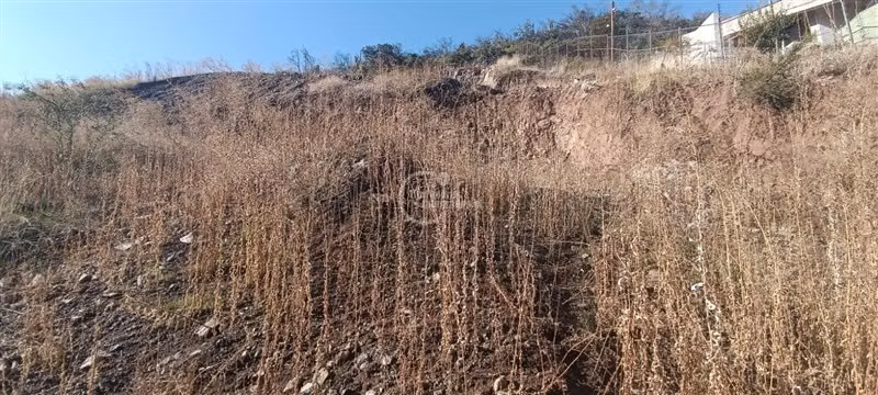 Sitio en venta en Lo Barnechea - Imagen 7