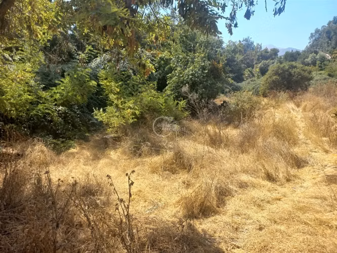 Sitio en venta en La Reina