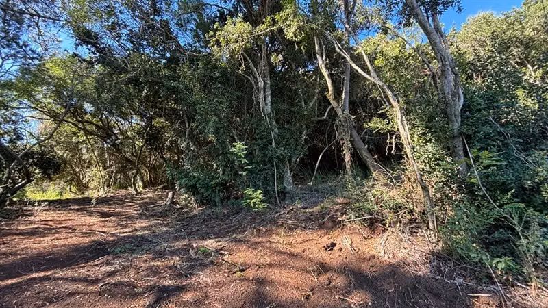 SITIO Villa Quillahue, Fundo San José , San Pedro de la Paz