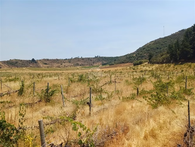 Agrícola en venta en Yerbas Buenas