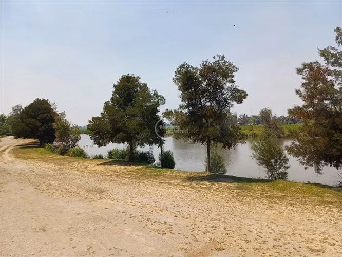 Agrícola en venta en Yerbas Buenas