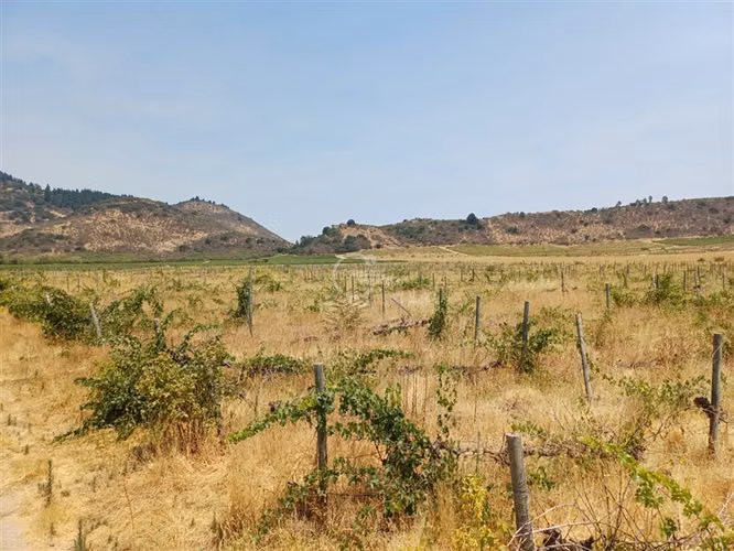 Agrícola en venta en Yerbas Buenas
