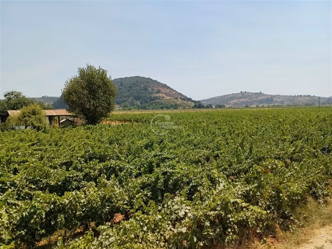Agrícola en venta en Yerbas Buenas