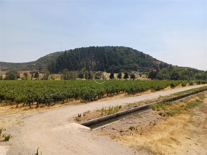 Agrícola en venta en Yerbas Buenas