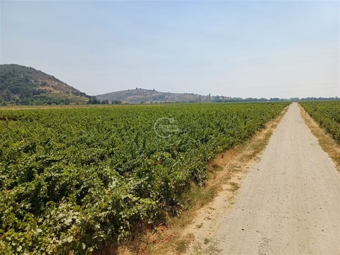 Agrícola en venta en Yerbas Buenas