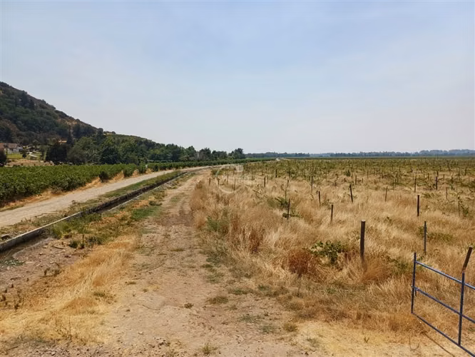 Agrícola en venta en Yerbas Buenas