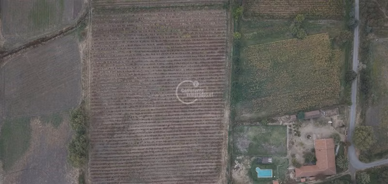 Agrícola en venta en Villa Alegre