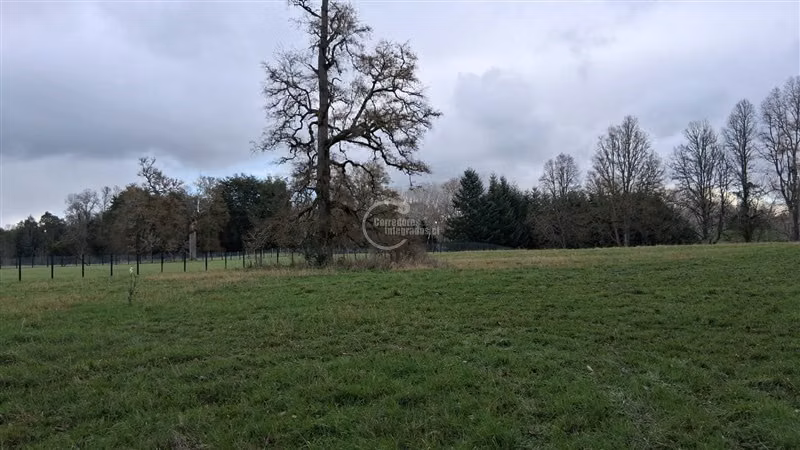 Parcela en venta en Frutillar