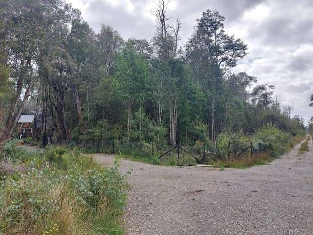 Parcela en venta en Puerto Varas - Imagen 5