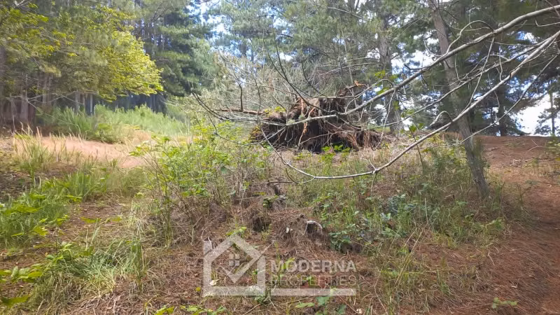 Parcela en venta en Temuco